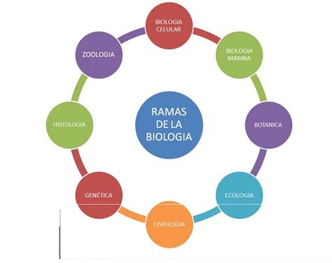 paramore :  RAMAS DE LA BIOLOGIA
