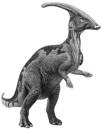 Parasaurolophus   EcuRed