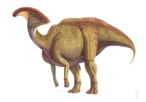 Parasaurolophus: el dinosaurio con cabeza con forma de arco