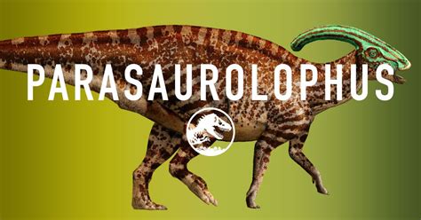 Parasaurolophus is a large crested, duck billed dinosaur ...