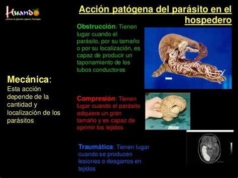 Parasitologia I