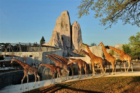 Parc Zoologique de Paris : Tarifs des billets et horaires ...