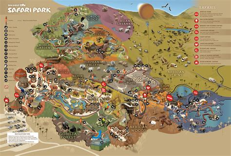 Park Map | San Diego Zoo Safari Park