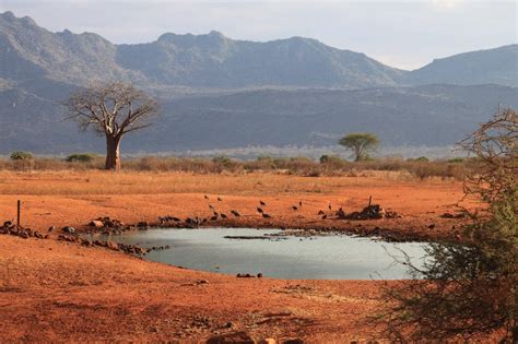 Parks und Camps .:Safari in Kenia:. Nationalparks und ...