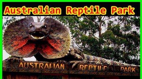 Parque de animales mas peligrosos en Australia   YouTube