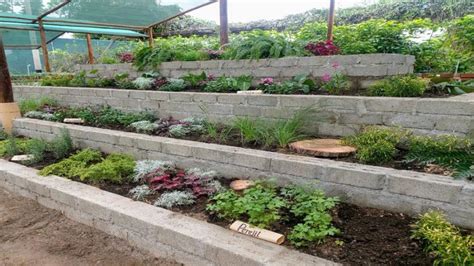 Parque de las Leyendas presenta diversidad de plantas en el vivero Casa ...