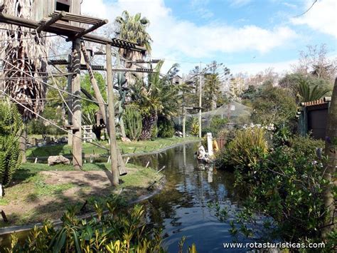 Parque dos macacos, Jardim zoológico de Lisboa, Lisboa ...