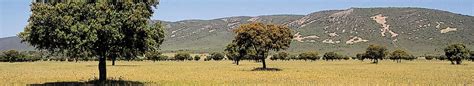 Parque Nacional de Cabañeros | Áreas Protegidas de Castilla La Mancha