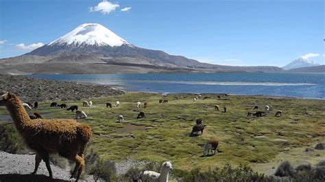 Parque Nacional Lauca e Putre, Chile