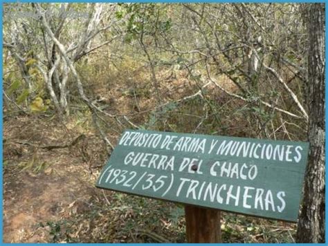 Parque Nacional Teniente Enciso   TravelsFinders.Com
