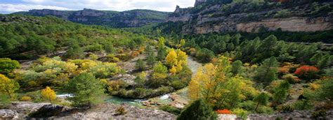 Parque Natural del Alto Tajo | Áreas Protegidas de Castilla La Mancha