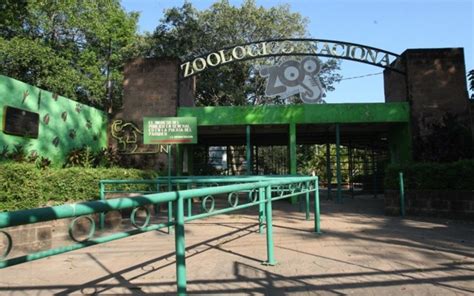 Parque Zoológico Nacional no tendrá animales, dice futura ministra de ...