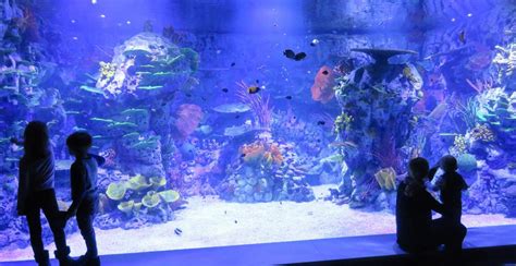 Parques Reunidos opens Atlantis Aquarium in Madrid