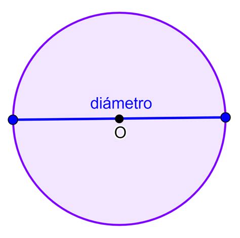 Partes de un Círculo con Diagramas   Neurochispas