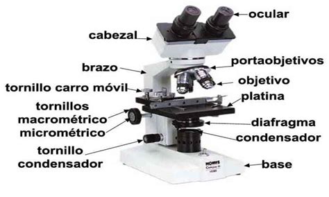 Partes de Un Microscopio mas actualizado 2018
