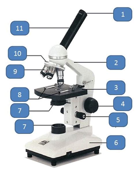 Partes de un microscopio óptico