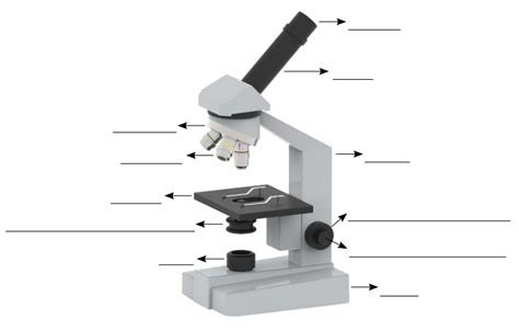 Partes del Microscopio  Funciones y Uso    Mundo Microscopio