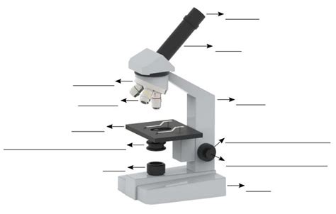 Partes del Microscopio  Funciones y Uso    Mundo ...