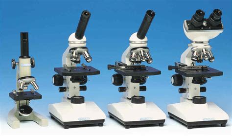 Partes del Microscopio: Significado, funciones, uso y más