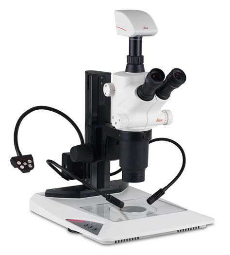 Partes del Microscopio: Significado, funciones, uso y más