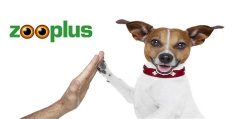 Participa en el sorteo de un lote Zooplus para tu perro