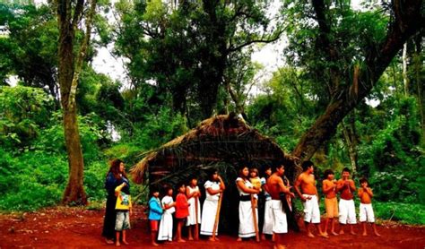 Participación de comunidades mbyá guaraní de Iguazú en el turismo ...