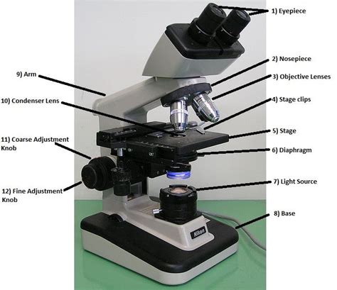 Parts and Functions of a Light Microscope  Part II ...