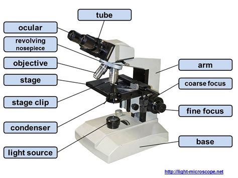 parts & components of a light microscope   YouTube