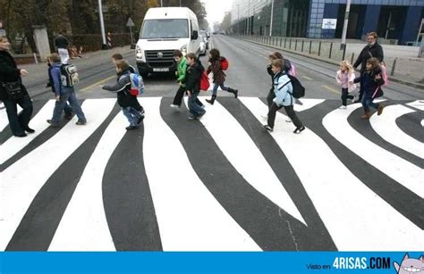 paso de cebra, imagenes graciosas | Zebra crossing, Urban art, Street art