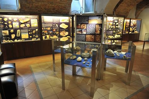 Pasquetta la Museo Paleontologico   Gazzetta D Asti