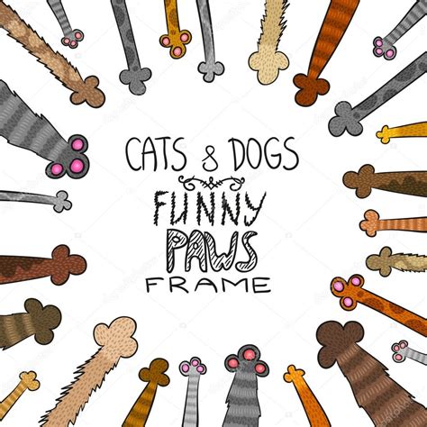 Patas de perros y gatos de dibujos animados   marco ...