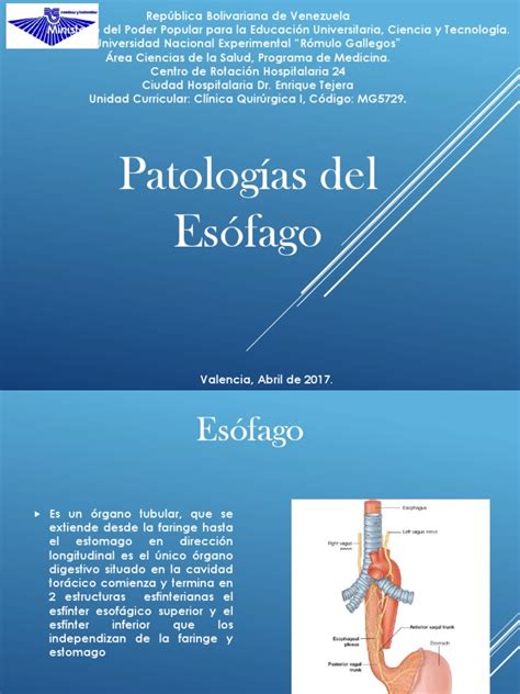 Patologia Del Esofago | PDF | Esófago | Cáncer de esófago