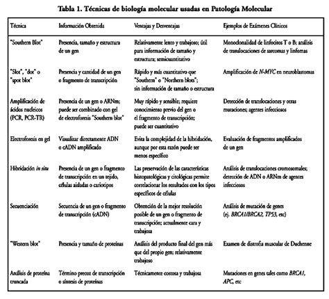 Patología molecular: Aplicaciones de la biología molecular ...