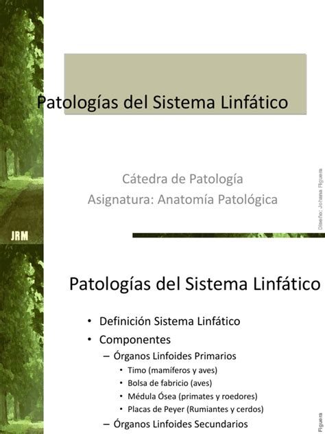 Patologias Del Sistema Linfatico