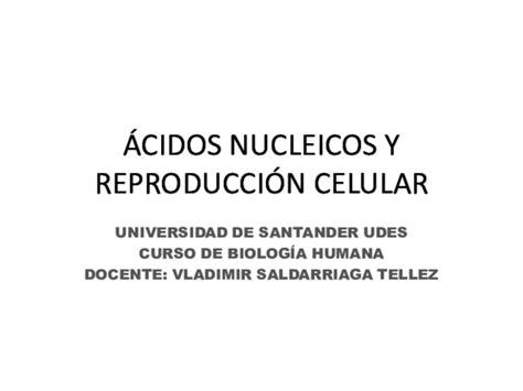 PDF  ÁCIDOS NUCLEICOS Y REPRODUCCIÓN CELULAR | Angie Ramirez Murcia ...
