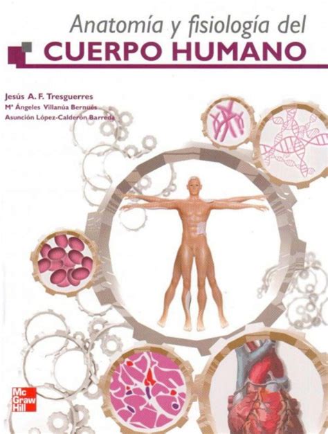 Pdf anatomia e fisiologia humana – Trabalho de formatura
