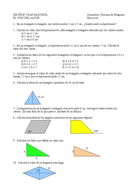 pdf_ejercicios_pitagoras 2ºESO | Geometria clasica | Triángulo | Prueba ...