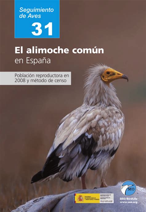 PDF  El alimoche común en León  The Egyptian vulture in ...