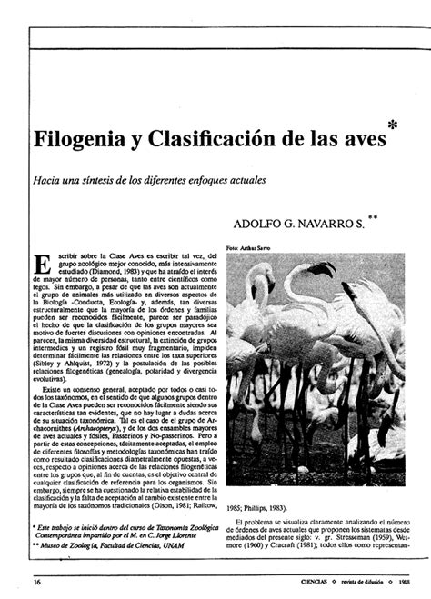 PDF  Filogenia y clasificación de las aves