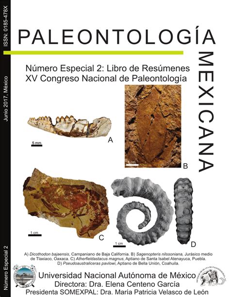 PDF  Huellas fósiles de vertebrados del Cretácico ...