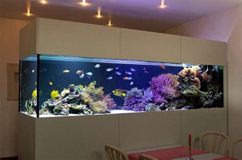 peceras marinas   Buscar con Google | Wall aquarium, Fish ...