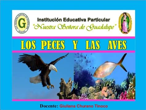 Peces y aves
