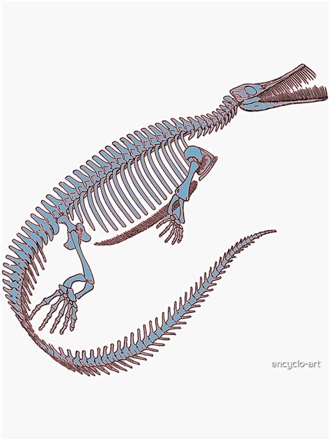 Pegatina «Fósiles de dinosaurios acuáticos por EncycloArt | Dino Art ...
