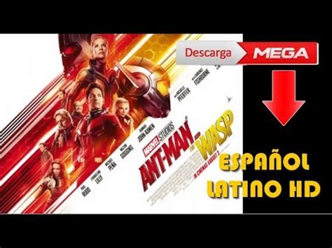 Pelicula Ant Man 2 El hombre hormiga y La avispa  2018  HD Latino   YouTube