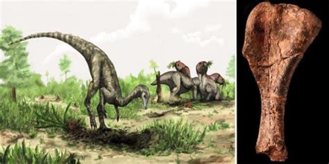 Peneliti temukan fosil dinosaurus pertama | merdeka.com