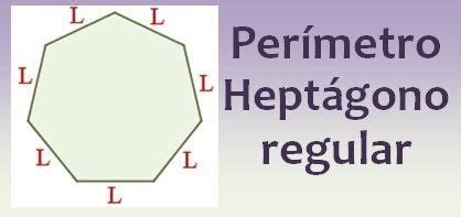 Perímetro del heptágono regular