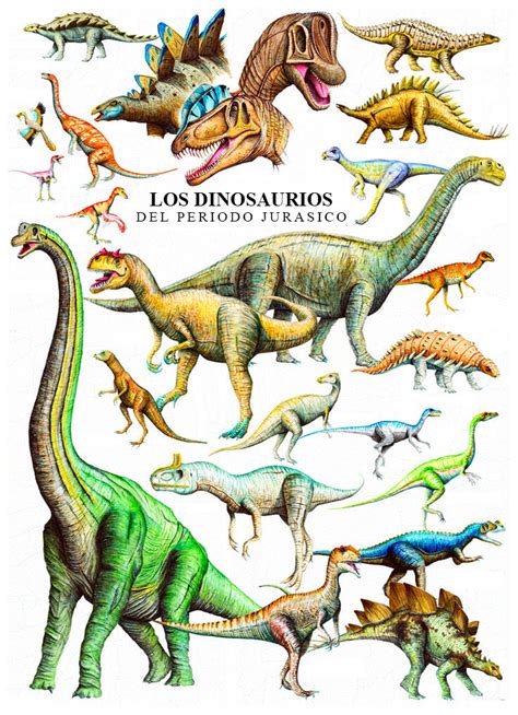 Periodos De Los Dinosaurios   SEONegativo.com