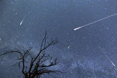 Perseidas: cómo ver la lluvia de meteoros más espectacular del año ...