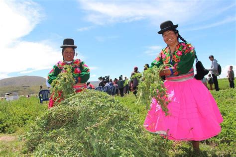 Perú firmará acuerdo con China para mejorar semillas ...