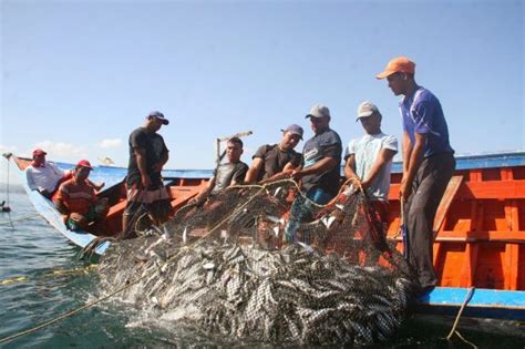 Pesca a gran escala deteriora ecosistema en San Andrés ...